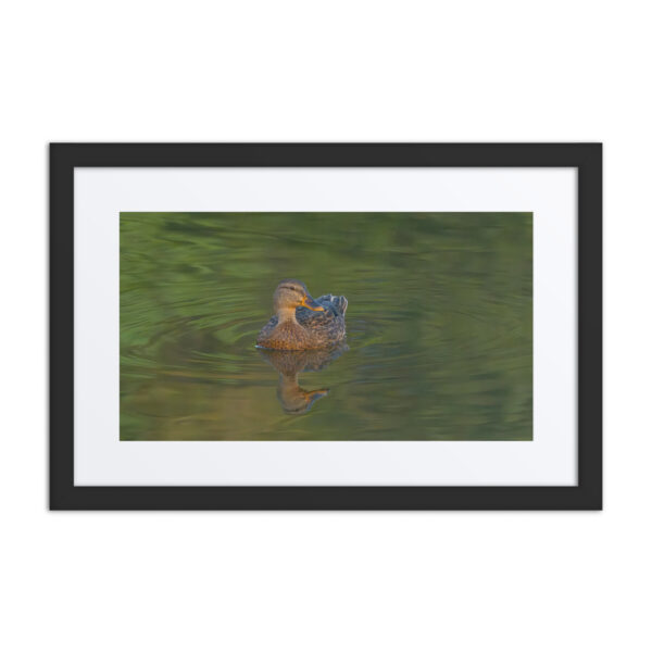 Emerald pool! Framed poster - Image 2