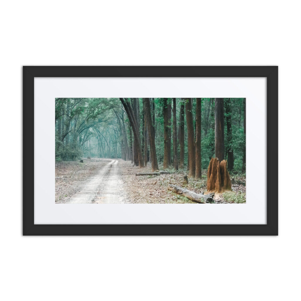 The Path less Understood! Framed poster