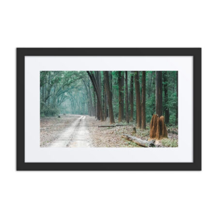 The Path less Understood! Framed poster
