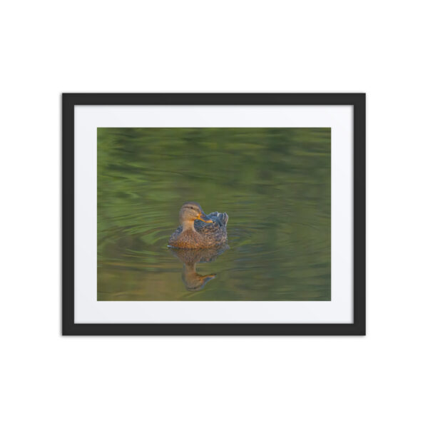 Emerald pool! Framed poster - Image 3