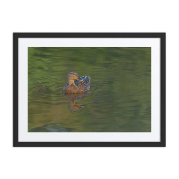 Emerald pool! Framed poster - Image 4