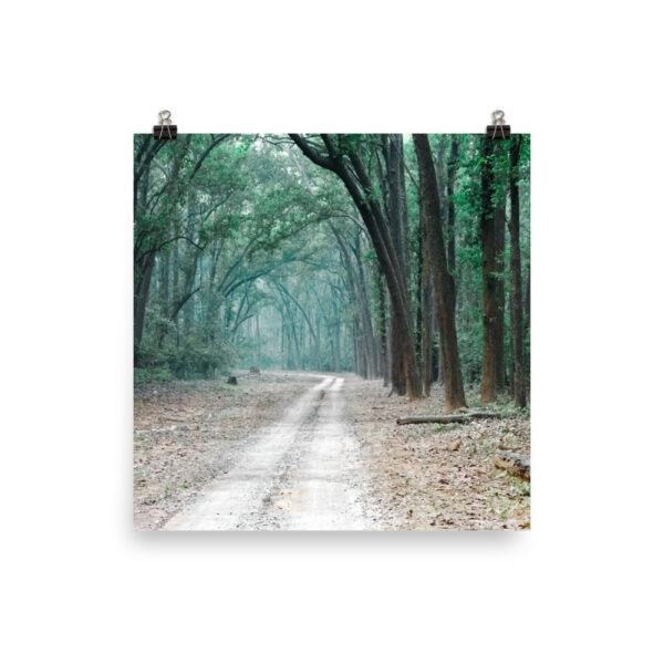 The Path less Understood! Photo paper poster - Image 3
