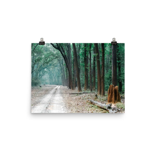 The Path less Understood! Photo paper poster - Image 6