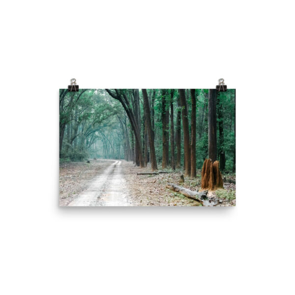 The Path less Understood! Photo paper poster - Image 7