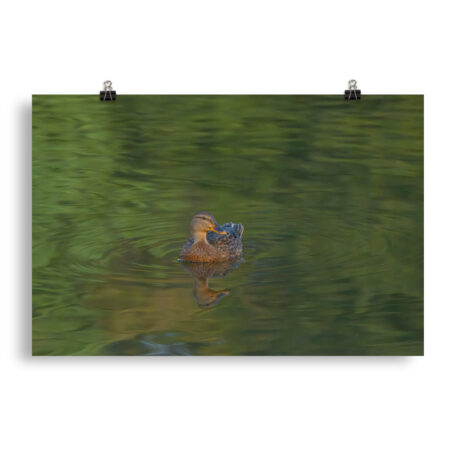 Emerald pool! Photo paper poster