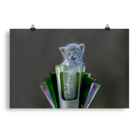 Roaring Kitten! Photo paper poster
