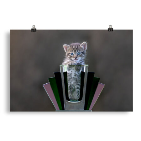 Cute Kitten! Photo paper poster