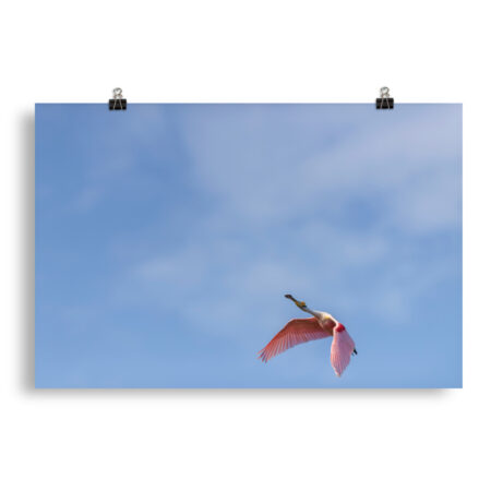 Shooting Star! Photo paper poster
