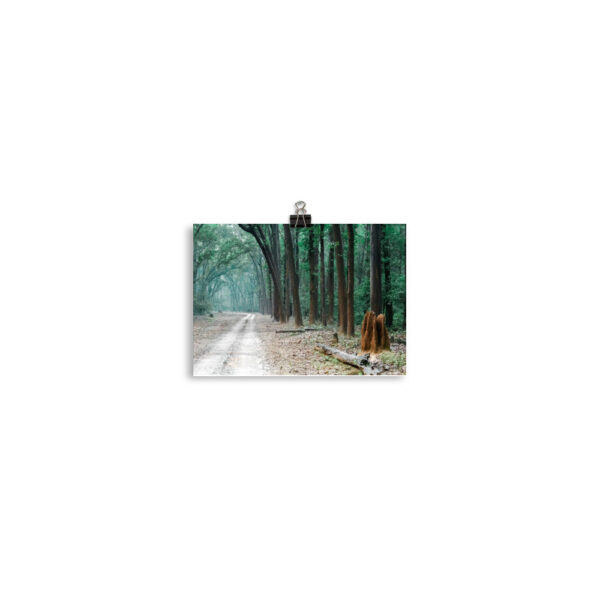 The Path less Understood! Photo paper poster - Image 2