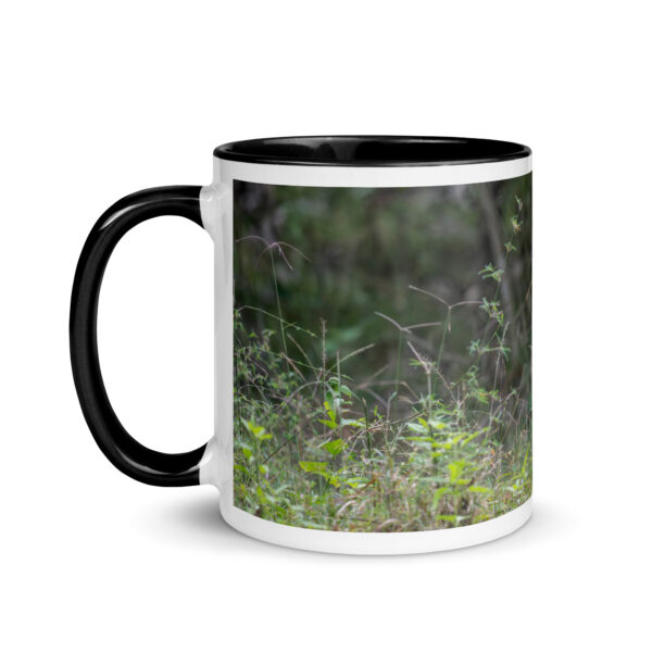 Indian Tiger! Mug with Color Inside - Image 3