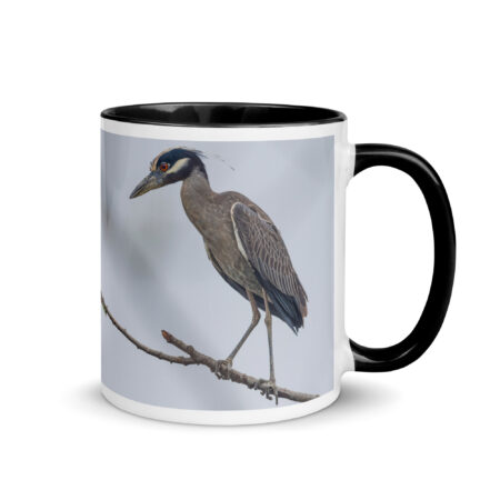 Yellow crowned night heron! Mug with Color Inside