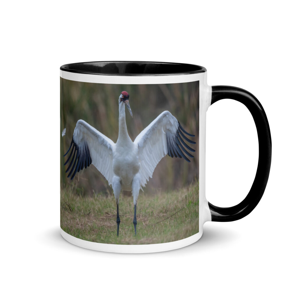 Whooping crane feather! Mug with Color Inside