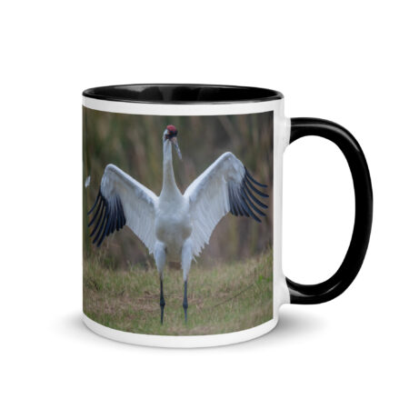 Whooping crane feather! Mug with Color Inside