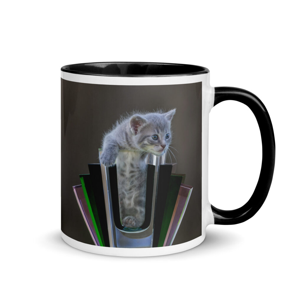 Gray Kitten! Mug with Color Inside