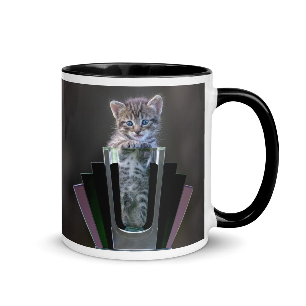 Cute Kitten! Mug with Color Inside