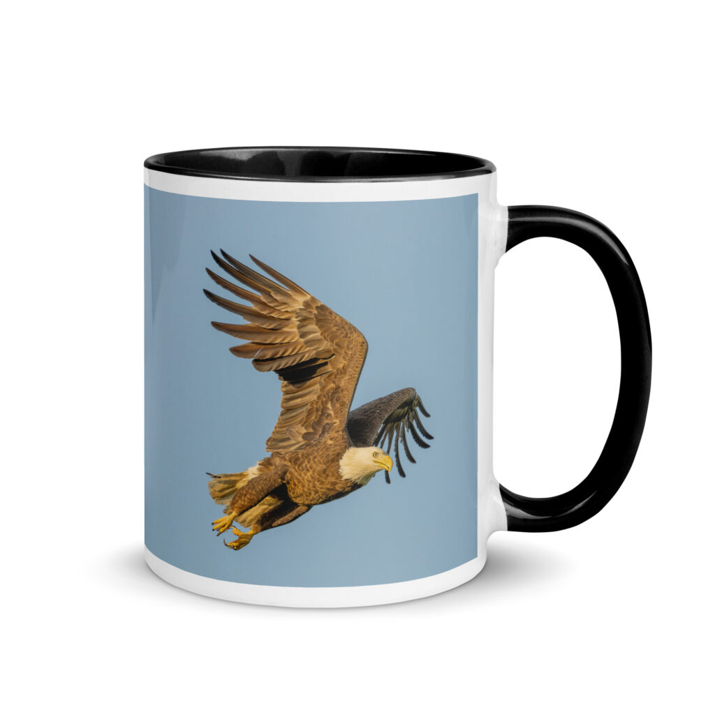 Blue Sky Bald Eagle! Mug with Color Inside