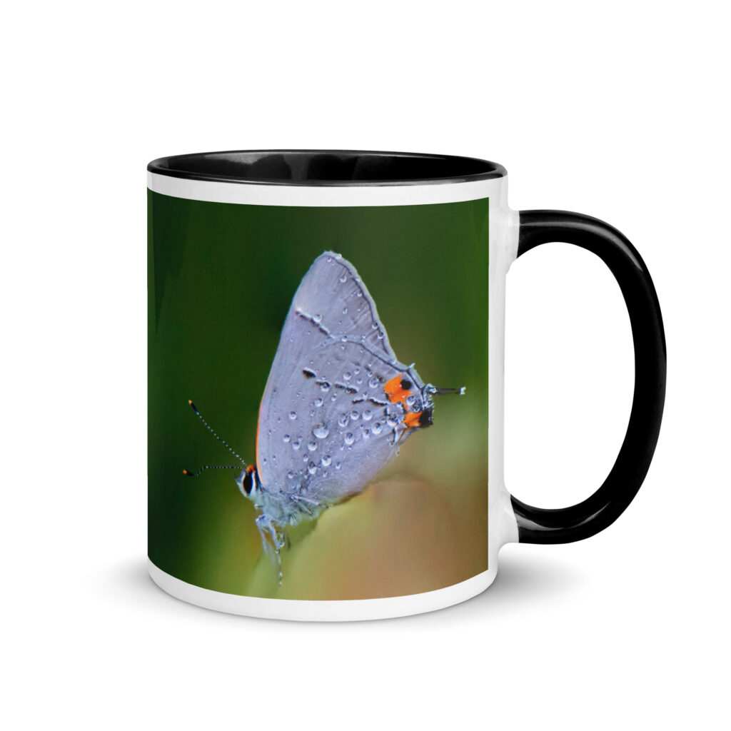 Dew Drop! Mug with Color Inside