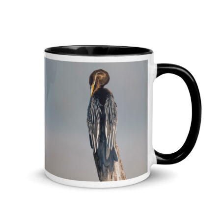 Indian Darter! Mug with Color Inside