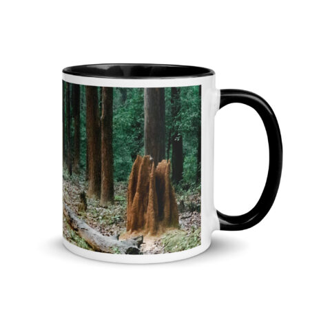 The Path less Understood! Mug with Color Inside