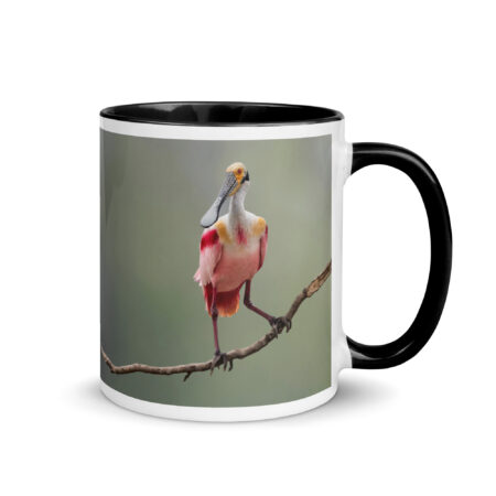 Roseate Spoonbill! Mug with Color Inside