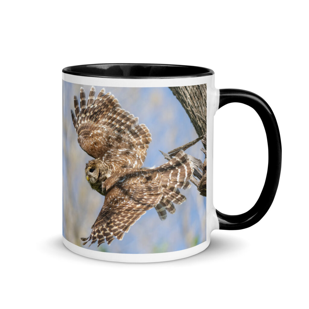 Barred owl! Mug with Color Inside