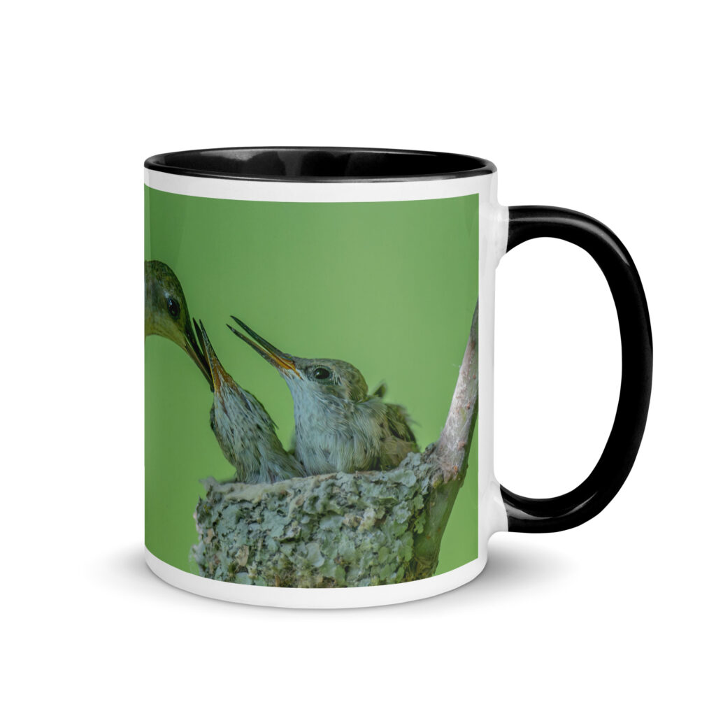Black-chinned hummingbird! Mug with Color Inside