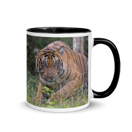 Indian Tiger! Mug with Color Inside
