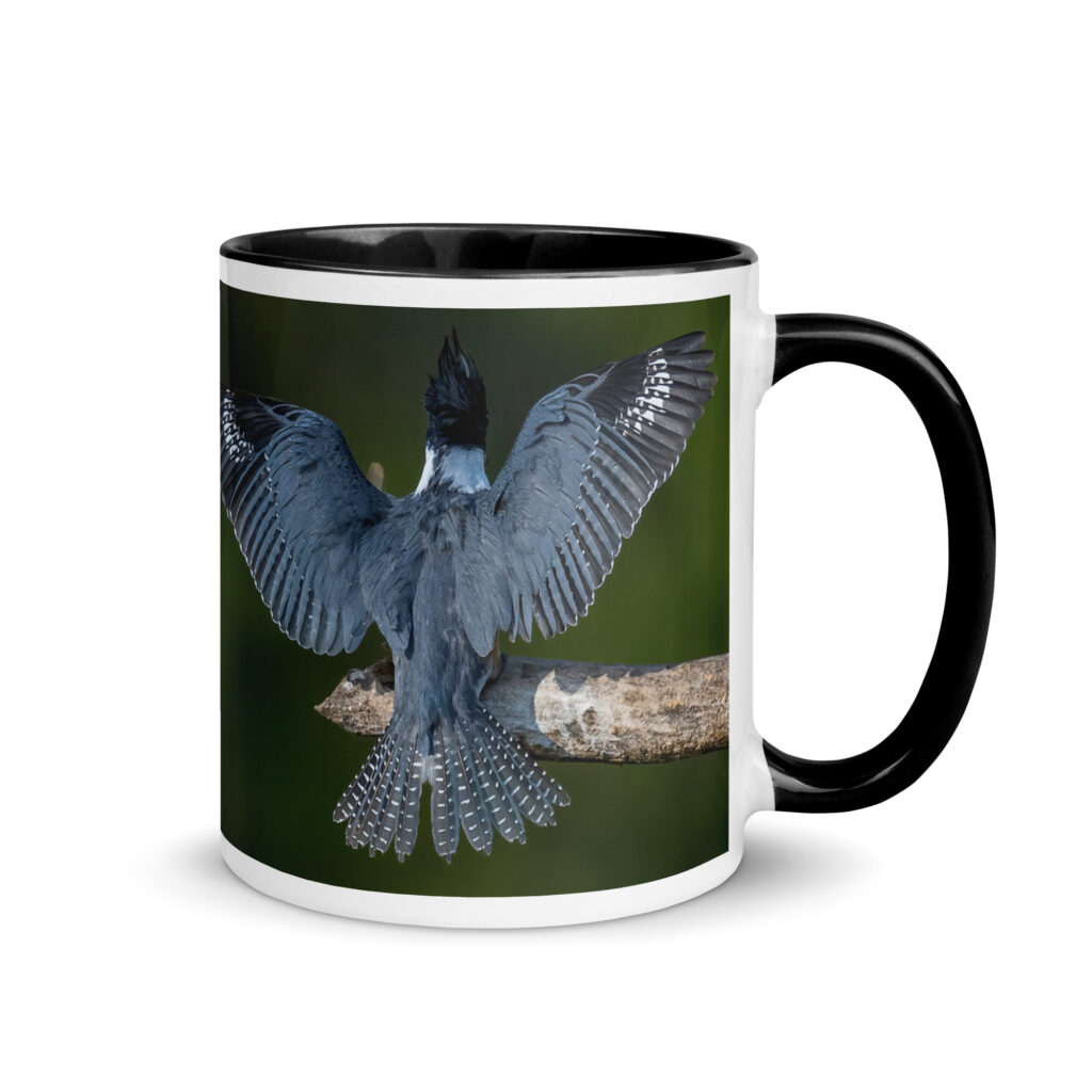 Belted Kingfisher! Mug with Color Inside