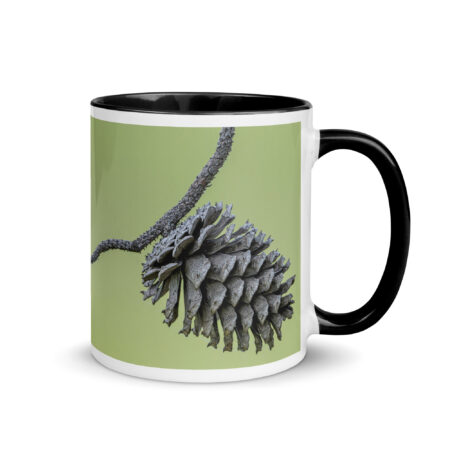 Pine Cone! Mug with Color Inside