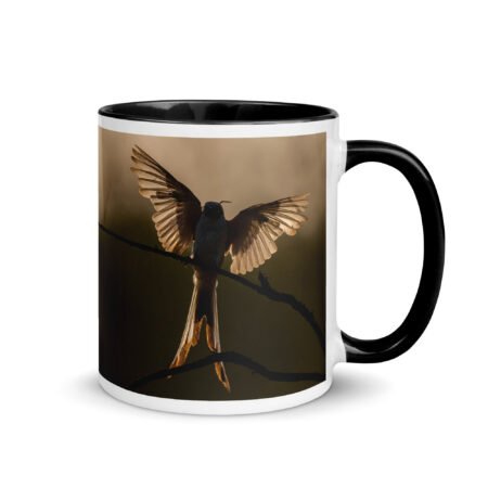 Scissor Tailed Flycatcher! Mug with Color Inside