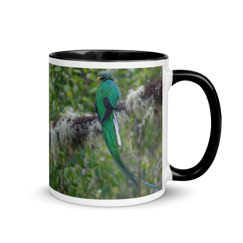 Resplendent Quetzal! Mug with Color Inside