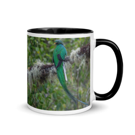 Resplendent Quetzal! Mug with Color Inside