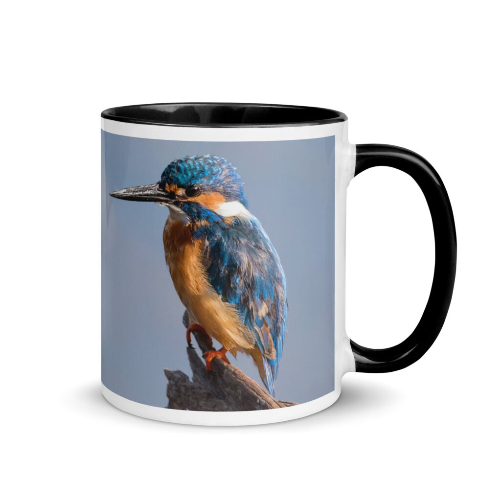 Common kingfisher! Mug with Color Inside