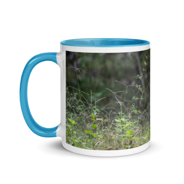 Indian Tiger! Mug with Color Inside - Image 18