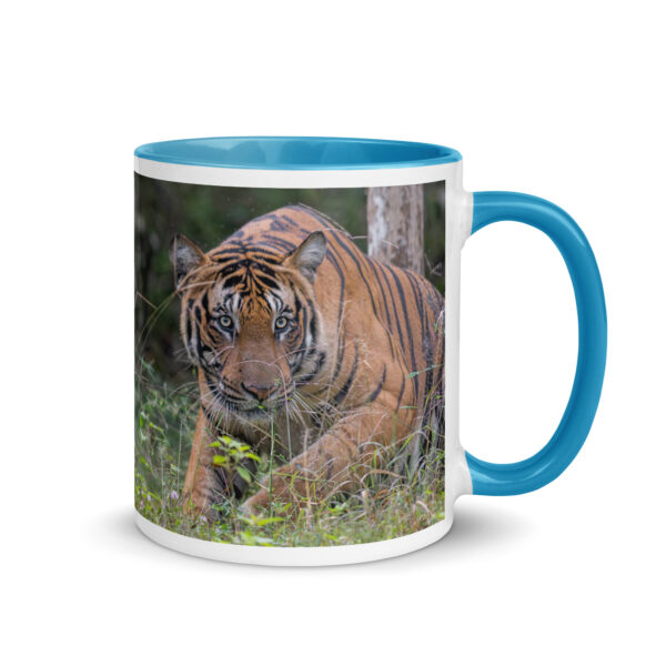 Indian Tiger! Mug with Color Inside - Image 16