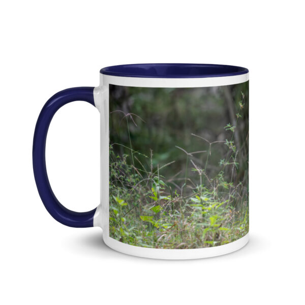 Indian Tiger! Mug with Color Inside - Image 6