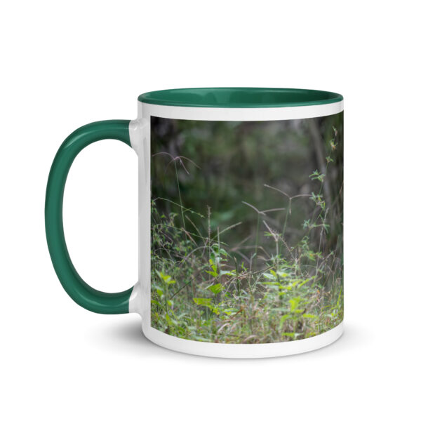 Indian Tiger! Mug with Color Inside - Image 12
