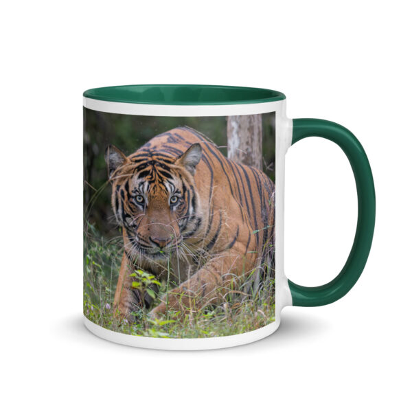 Indian Tiger! Mug with Color Inside - Image 10