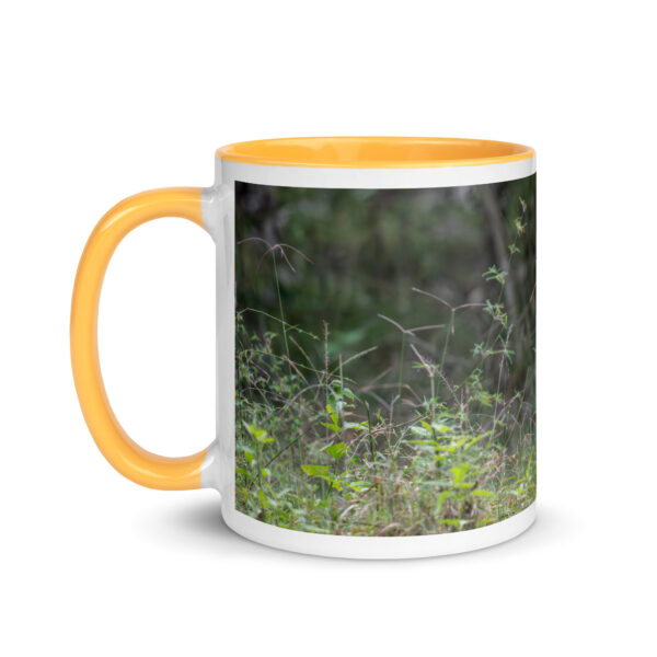 Indian Tiger! Mug with Color Inside - Image 24