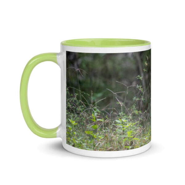 Indian Tiger! Mug with Color Inside - Image 27
