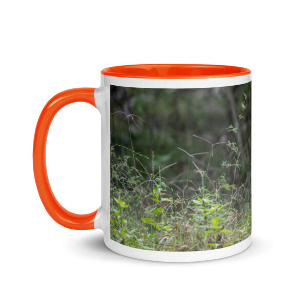 Indian Tiger! Mug with Color Inside - Image 15