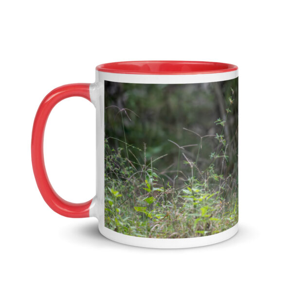 Indian Tiger! Mug with Color Inside - Image 9