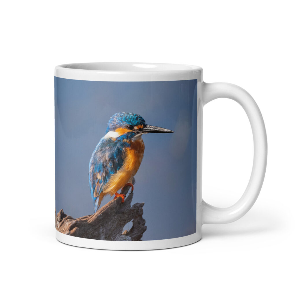 Common kingfisher! White glossy mug