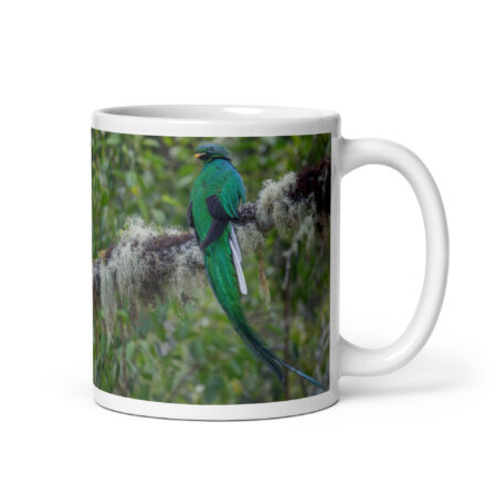 Resplendent Quetzal! White glossy mug