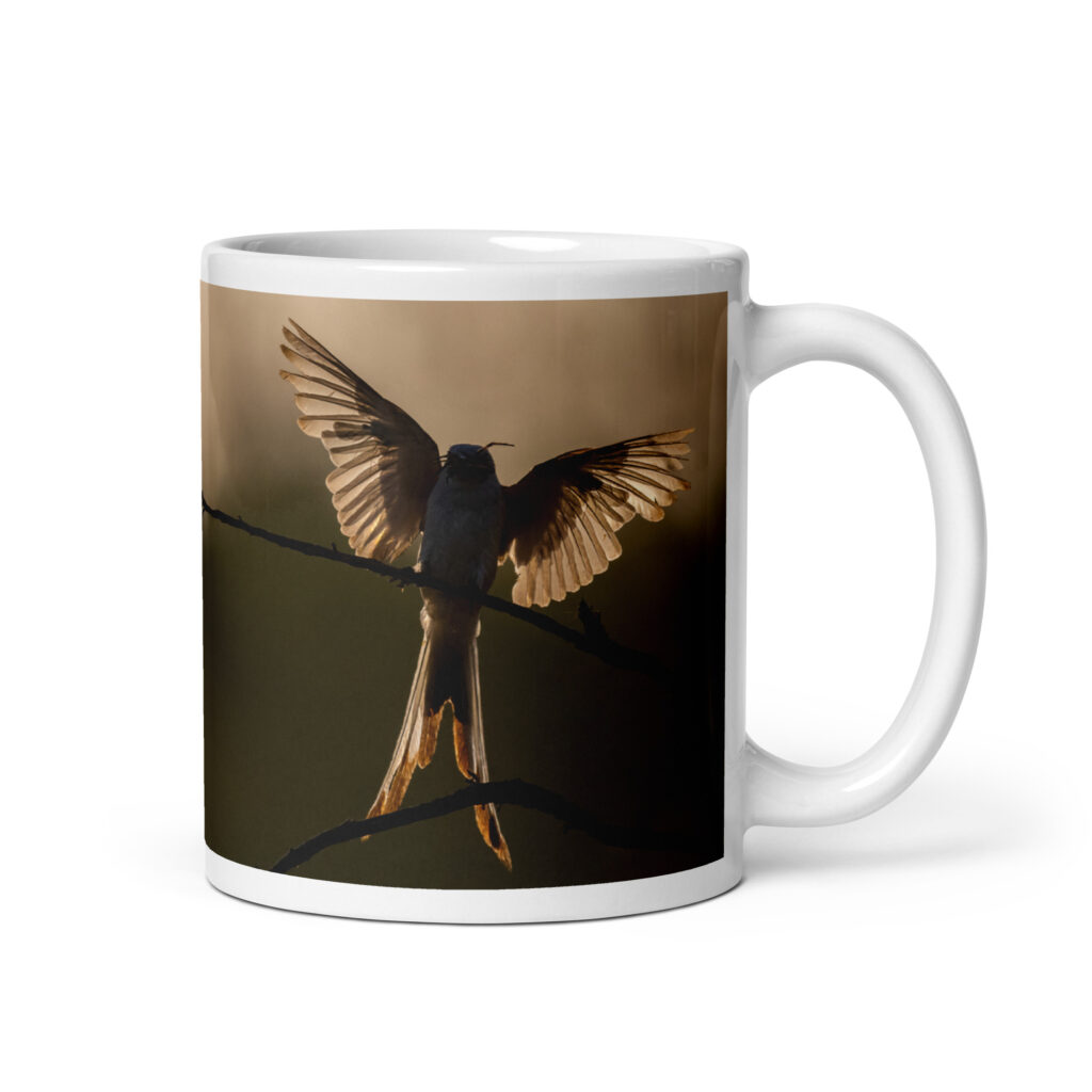 Scissor Tailed Flycatcher! White glossy mug
