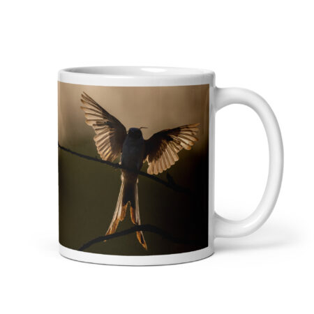 Scissor Tailed Flycatcher! White glossy mug