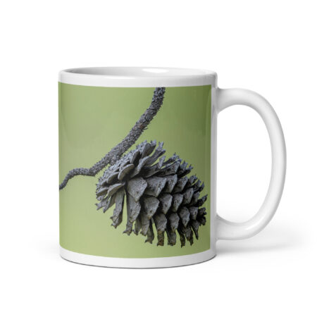 Pine Cone! White glossy mug