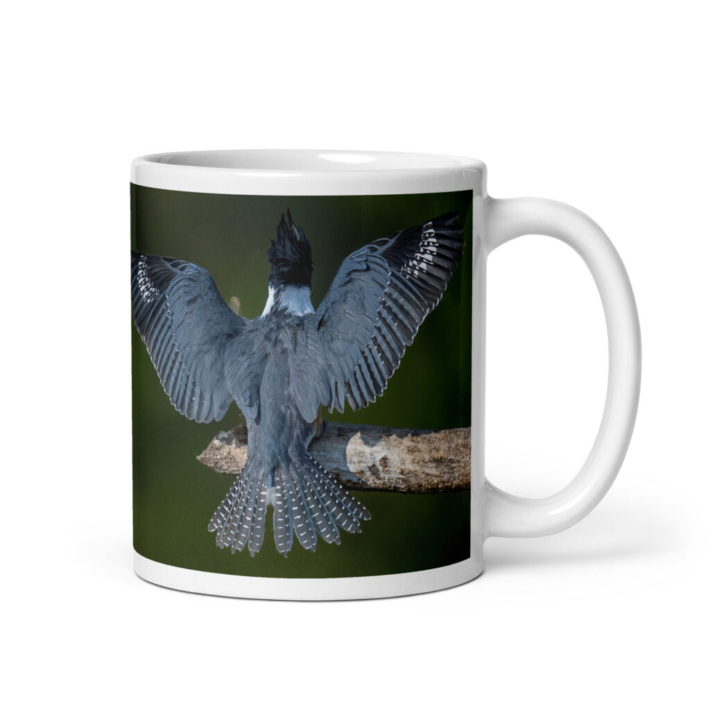 Belted Kingfisher! White glossy mug
