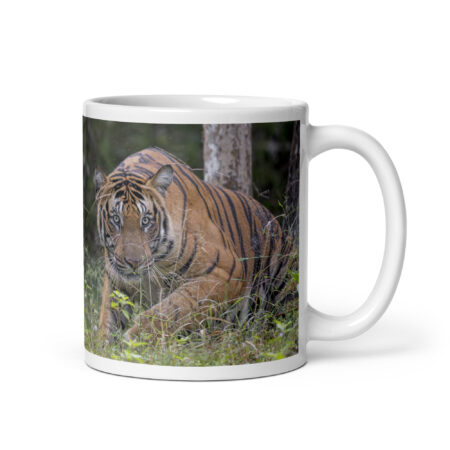 Indian Tiger! White glossy mug