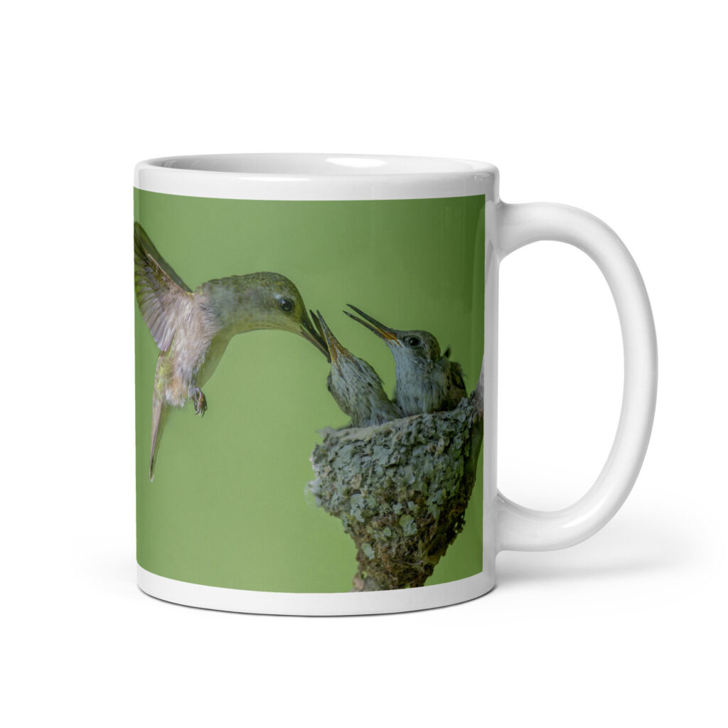 Black-chinned hummingbird! White glossy mug